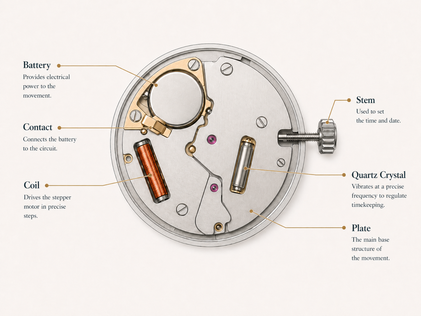 Diagram showing the main parts of a quartz watch movement including the battery, contact, coil, quartz crystal, stem and plate